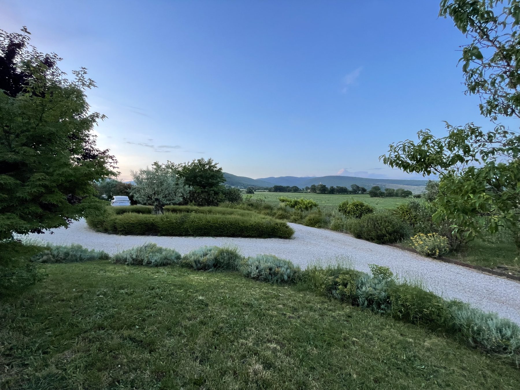 Allées du jardin paysager de 3000 m² avec lavandes et oliviers